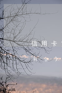 信用卡貸款五級(jí)分類逾期天數(shù) 信用卡貸款五級(jí)分類逾期天數(shù)