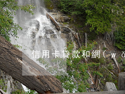 信用卡貸款和網(wǎng)貸逾期