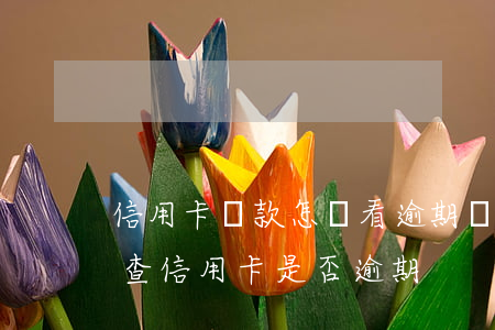 信用卡貸款怎樣看逾期違規(guī)(怎么查信用卡是否逾期)