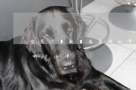 信用卡貸款惡意逾期法律(信用卡逾期違反了哪些法律)