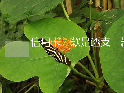 信用卡貸款是透支貸款嗎(信用卡就是透支卡嗎?)