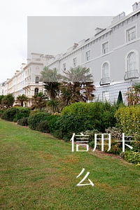 信用卡貸款欠40萬(信用卡貸款欠40萬怎么辦)