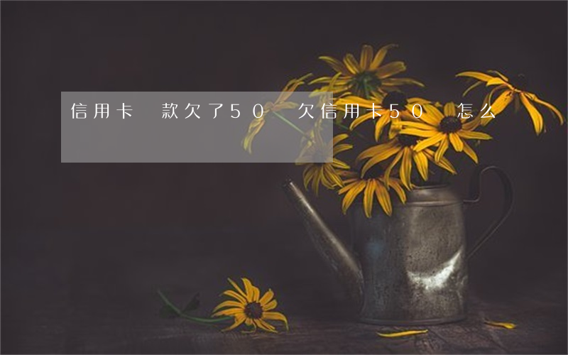 信用卡貸款欠了50萬(欠信用卡50萬怎么辦)