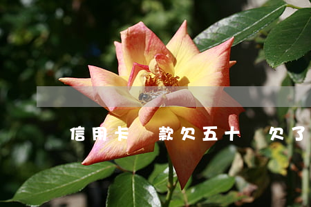 信用卡貸款欠五十萬(欠了信用卡50萬無力償還)