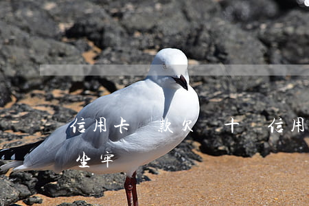 信用卡貸款欠幾十萬(信用卡貸款欠幾十萬會坐牢嗎)