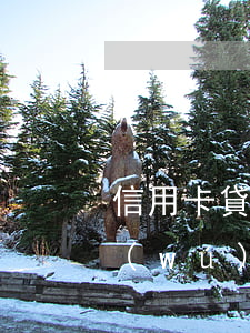 信用卡貸款無(wú)力償還(信用卡貸款無(wú)力償還可以申請(qǐng)取住房公積金嗎)