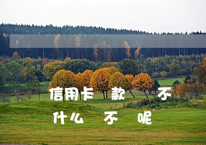 信用卡貸款購車不還錢(買車還貸的信用卡為什么還不給呢)