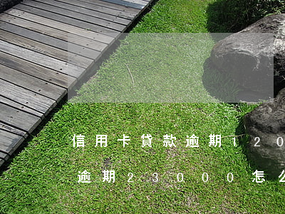 信用卡貸款逾期120萬(wàn)(信用卡逾期23000怎么辦)