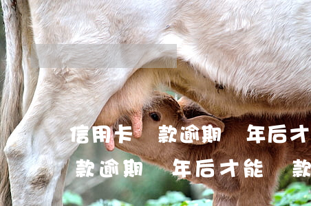 信用卡貸款逾期幾年后才能貸款-信用卡貸款逾期幾年后才能貸款嗎