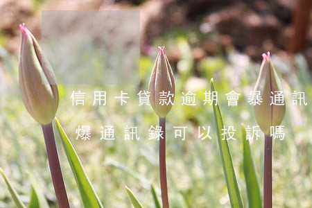 信用卡貸款逾期會暴通訊錄嗎(欠信用卡銀行爆通訊錄可以投訴嗎)