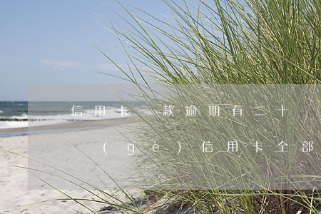 信用卡貸款逾期有二十幾萬(wàn)(十幾個(gè)信用卡全部逾期了)