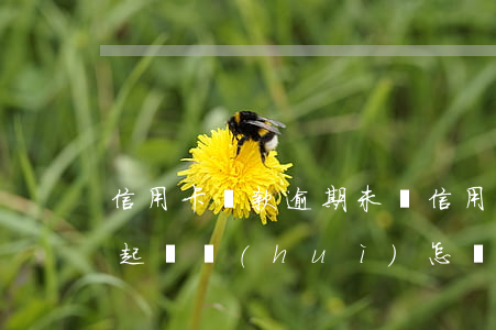 信用卡貸款逾期未還 信用卡貸款逾期未還被起訴會(huì)怎樣