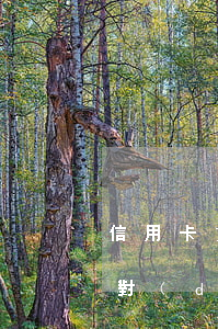 信用卡貸款逾期構(gòu)成犯罪嗎(刑法對(duì)信用卡逾期的規(guī)定)