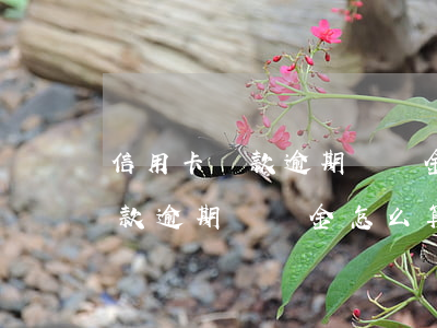 信用卡貸款逾期滯納金怎么算的-信用卡貸款逾期滯納金怎么算的呢