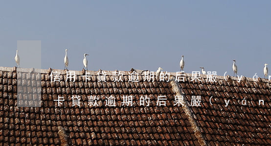 信用卡貸款逾期的后果嚴(yán)重 信用卡貸款逾期的后果嚴(yán)重不