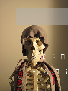 信用卡貸款逾期統(tǒng)計(jì)-各銀行信用卡逾期率