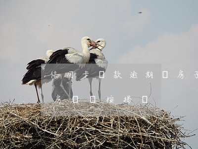 信用卡貸款逾期賣房子(信用卡逾期會影響賣房過戶按揭嗎)