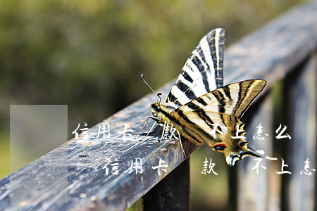 信用卡貸款還不上怎么辦會(huì)坐牢-信用卡貸款還不上怎么辦會(huì)坐牢嗎