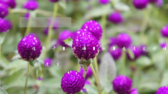 信用卡貸涉嫌貸款惡意透支(涉嫌銀行貸款惡意透支)