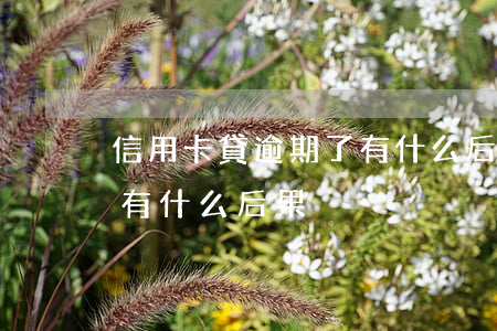 信用卡貸逾期了有什么后果(信用卡貸逾期了有什么后果)