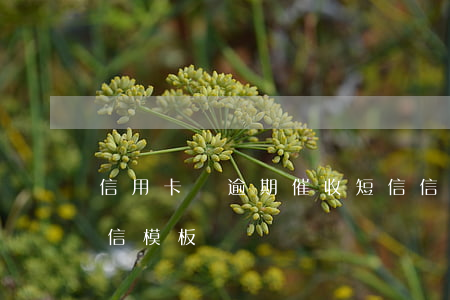 信用卡貸逾期催收短信(信用卡貸逾期催收短信模板)