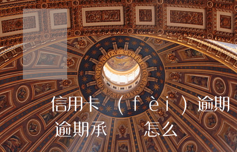 信用卡費(fèi)逾期證明怎么寫(信用卡逾期承諾書怎么寫)