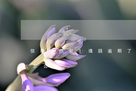 信用卡賬單3塊錢逾期了-3張信用卡逾期怎么辦