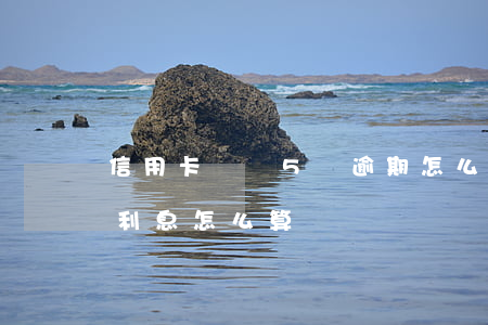 信用卡賬單5萬逾期怎么算(5萬信用卡逾期利息怎么算)