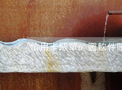 信用卡賬單p圖軟件(賬單的軟件)