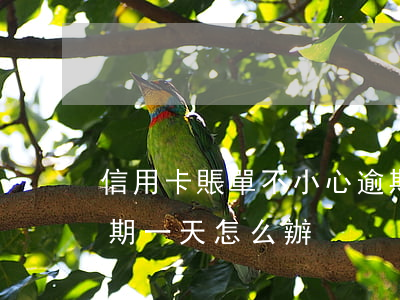 信用卡賬單不小心逾期7天(不小心信用卡逾期一天怎么辦)