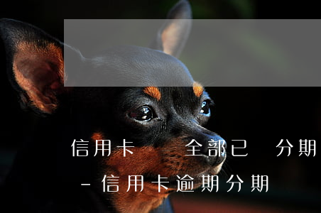 信用卡賬單全部已辦分期后續(xù)逾期-信用卡 逾期 分期