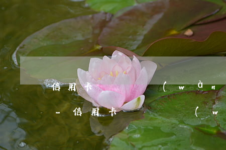 信用卡賬單兩萬(wàn)逾期了利息多少-信用卡賬單兩萬(wàn)逾期了利息多少錢(qián)