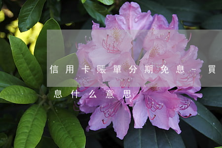 信用卡賬單分期免息-買東西信用卡分期免息什么意思