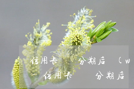 信用卡賬單分期后無(wú)力償還怎么辦-信用卡賬單分期后無(wú)力償還怎么辦呢