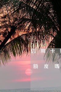 信用卡 賬單 利息（信用卡利息算進(jìn)額度嗎）