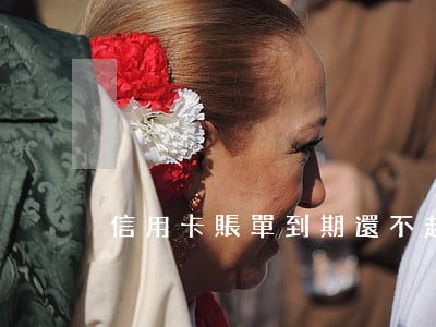 信用卡賬單到期還不起 信用到期還款還不上
