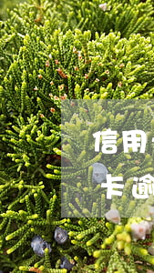 信用卡賬單已逾期怎么辦-2017年信用卡逾期怎么辦