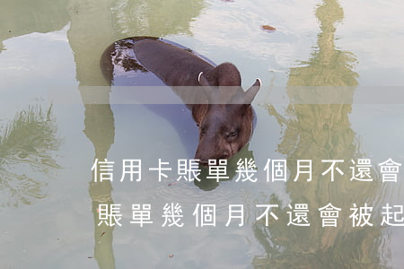 信用卡賬單幾個月不還會被起訴嗎-信用卡賬單幾個月不還會被起訴嗎知乎