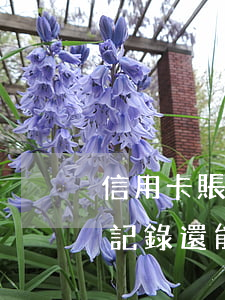 信用卡賬單形成后再還算逾期嗎(有逾期還款記錄還能申請(qǐng)信用卡嗎)