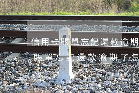 信用卡賬單忘記還款逾期了怎么辦-信用卡賬單忘記還款逾期了怎么辦呢