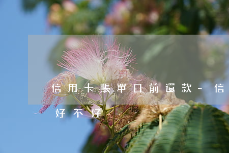 信用卡賬單日前還款-信用卡賬單日前還款好不好