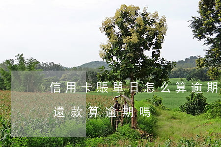 信用卡賬單日怎么算逾期(信用卡過了賬單日還款算逾期嗎)