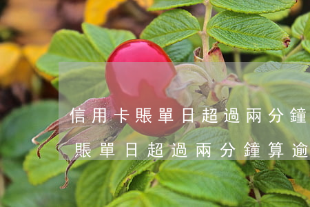 信用卡賬單日超過兩分鐘算逾期嗎-信用卡賬單日超過兩分鐘算逾期嗎怎么辦