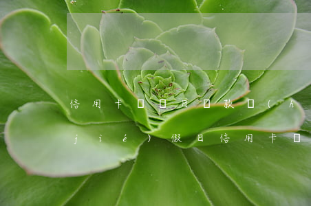 信用卡賬單日還款會(huì)逾期不(節(jié)假日信用卡還款會(huì)推遲到賬嗎)