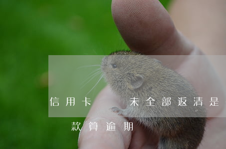 信用卡賬單未全部返清是否算逾期(賬單日沒還款算逾期嗎)