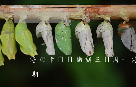 信用卡賬單逾期三個月-信用卡2期賬單逾期