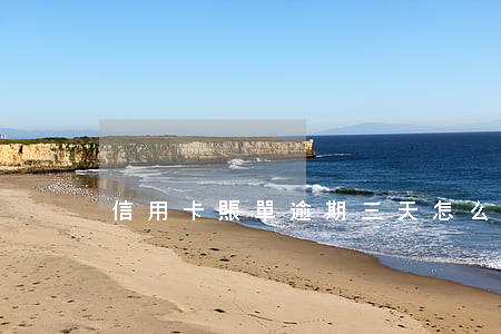 信用卡賬單逾期三天怎么辦(信用卡 逾期一天)
