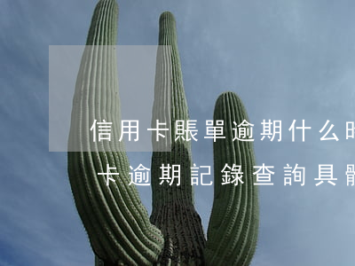 信用卡賬單逾期什么時候可以查(怎么查信用卡逾期記錄查詢具體時間)