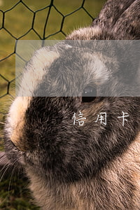 信用卡賬單逾期幾天會怎么樣