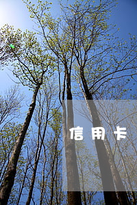 信用卡賬單逾期怎么還